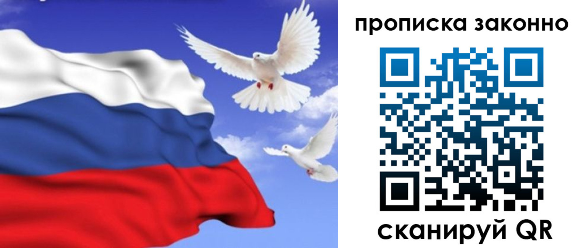 прописка в Новодвинске