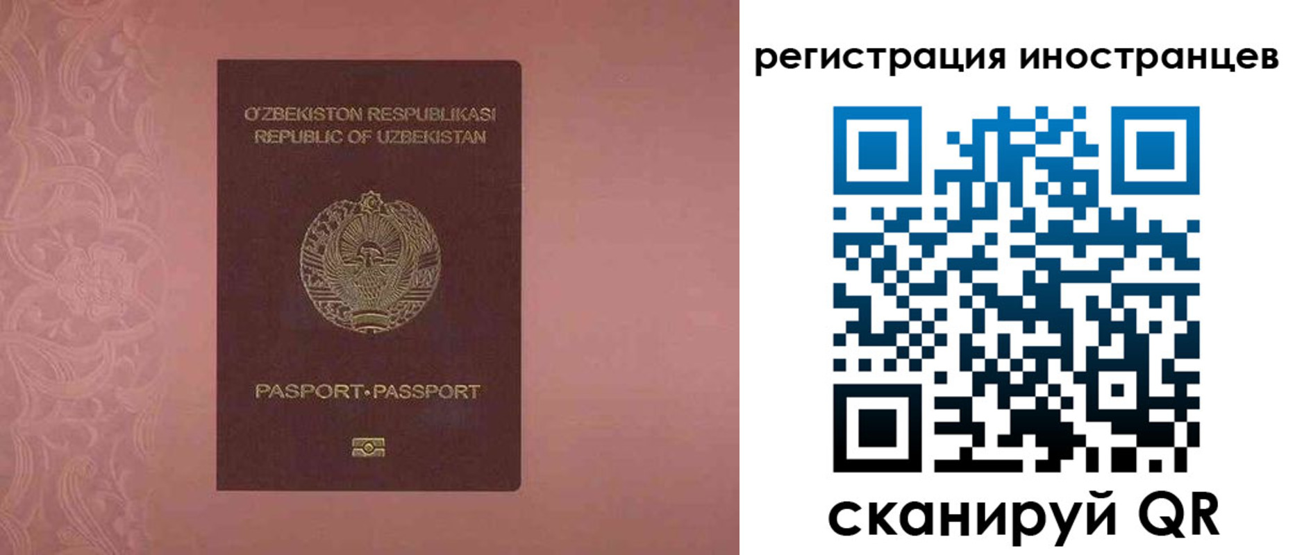 временная регистрация госуслуги в Новодвинске